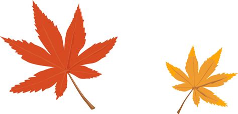 美丽的枫叶-植物作文300字(汇总7则)