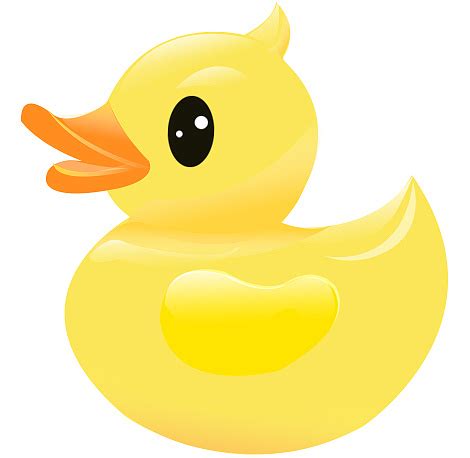 小黄鸭_一年级说明文200字[集锦6篇]