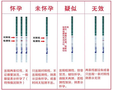 最早测出怀孕的试纸