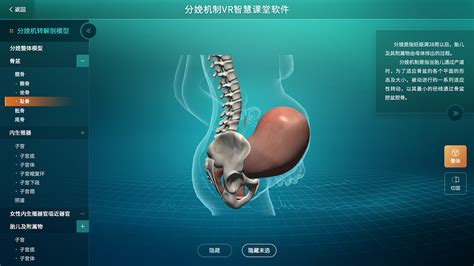 vr游戏软件app有哪些