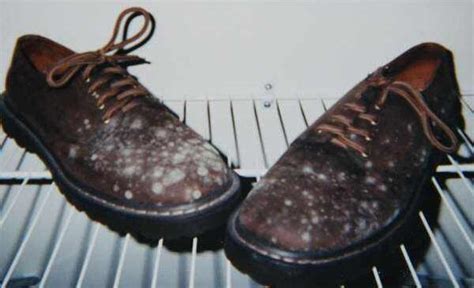 皮鞋如何正确清洗保养?我的百革皮鞋穿了一段时间,有点脏了.鞋材质不同是不是清洗保养方法也不同?