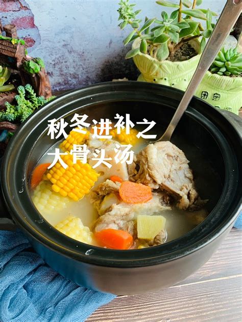 美味的骨头汤-描写美食的作文600字(集锦10篇)