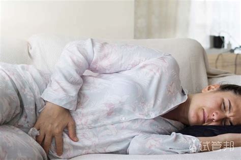 怀孕母羊初期乳房变化