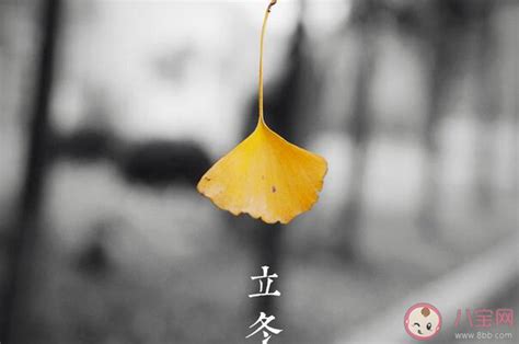 立冬最温暖的句子