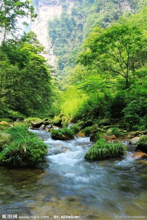 家乡的小河-关于小河的作文350字(共计5则)