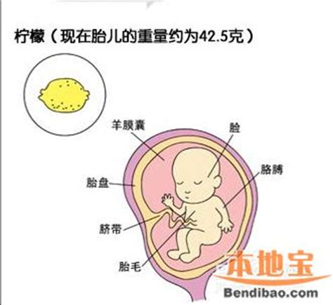 刚怀孕有啥症状