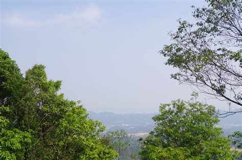 黄台山公园真美-描写美景的作文550字(汇总9则)