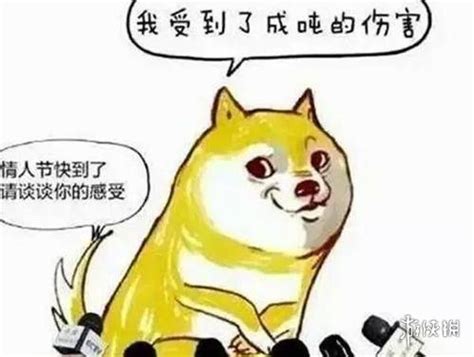 狗桃是什么梗