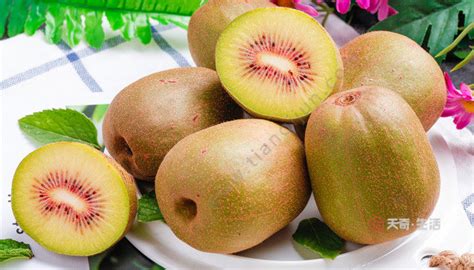 奇异果和猕猴桃是一种水果吗?