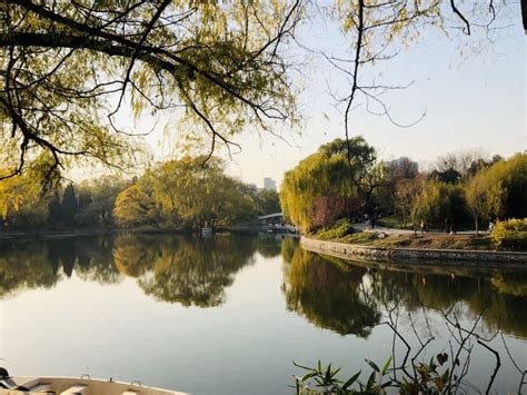 城市漫步——北京中山公园