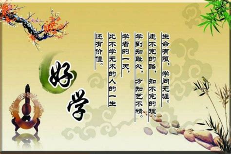 卫生方面的名言警句(摘抄100段)