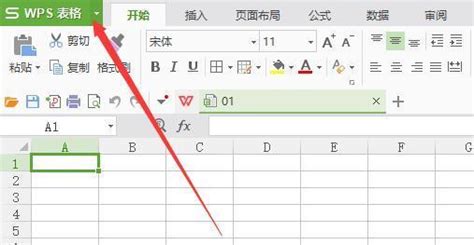 文件类型OTHER,如何打开?