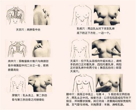 乳房如何按摩疏通乳腺