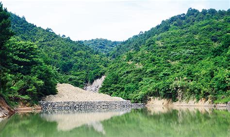 青田油竹怎么来