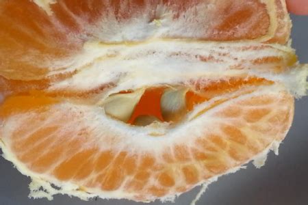橘子表面的橘络