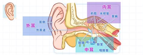 咽鼓管炎最快治愈方法