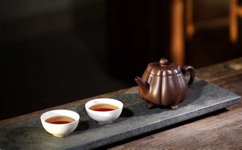 紫砂杯適合泡什么茶葉?