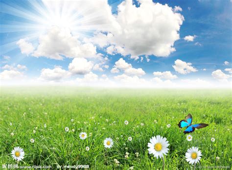 春天的色彩-写景作文350字(合计9篇)