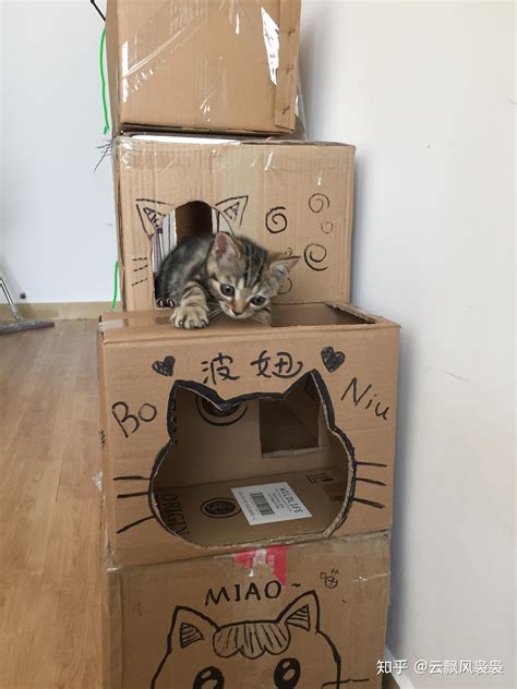 自己的小窝的文案