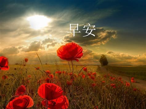 雾天早安问候语图片朋友圈心情说说