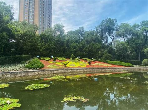 上海新开的古公园