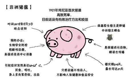 猪瘟特征有哪些