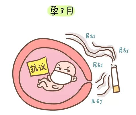 孕79天胎儿在腹部哪个位置