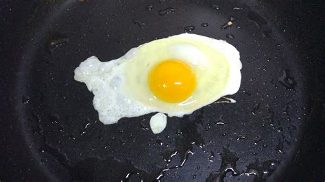 我做的“曾氏煎蛋”(通用10则)