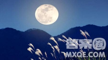 忘不了_美好的时光作文600字【共6则】