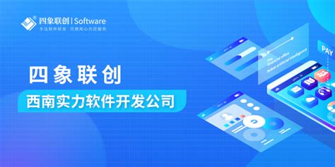 什么是开发定制软件