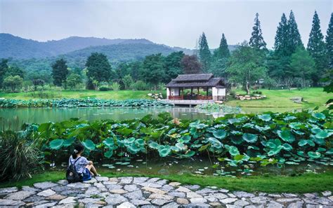 植物园里有什么