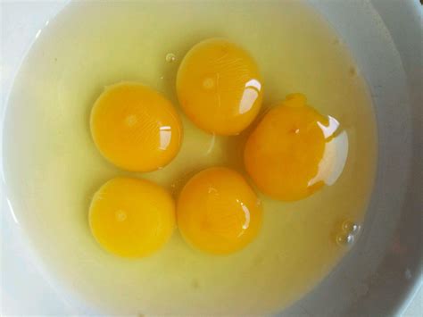 胆固醇高能不能吃鸡蛋