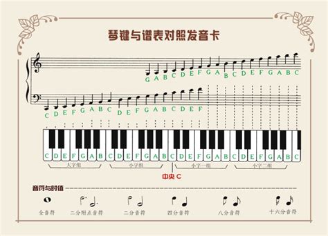 学琴的几个阶段