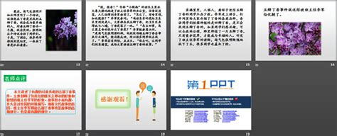 校园里的丁香花-笔尖流出的故事作文500字[合集8篇]