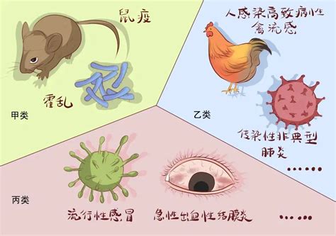 病毒性心肌炎是什么病毒