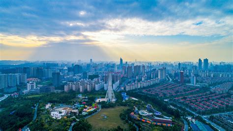 南宁南方美丽风景区葵花观赏