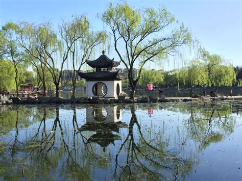 游亭林公园-写景作文500字（优秀5则）