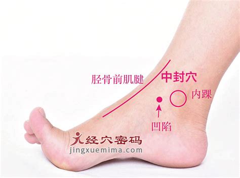 内庭的准确位置图片