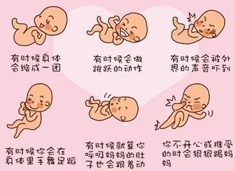 胎儿在妈妈肚子里都干些什么