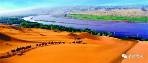 关于黄河的七句名言