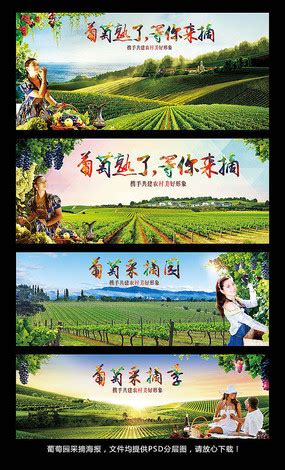 摘葡萄-记叙作文550字（优秀8篇）