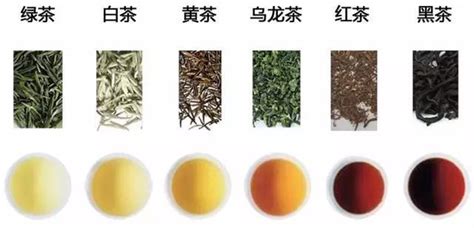 八寶茶怎么煮？