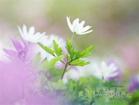 买不起来的东西会和孩子说吗