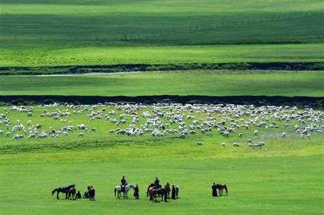 这100张照片，就是去内蒙古的全部理由