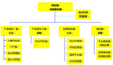 软件项目经理的介绍