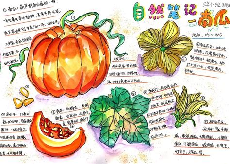 秋色宜人-小学生自然作文350字[经典5则]