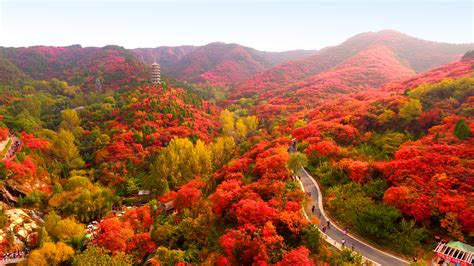 重庆到四川光雾山看红叶最佳时间是什么时候?