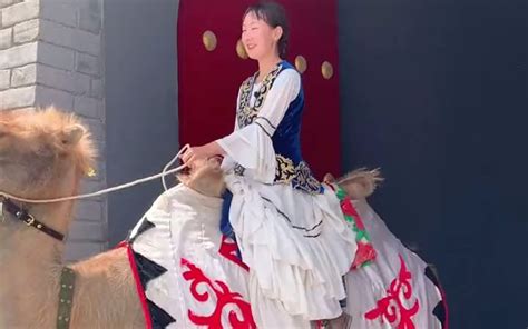 骑上我的小骆驼舞蹈儿童教程