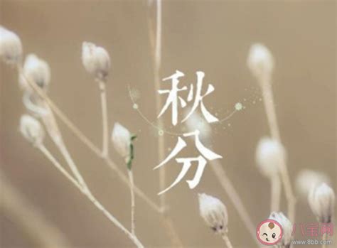 发朋友圈的句子心情短语2023