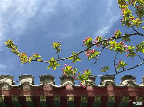 海棠花溪朋友圈说说